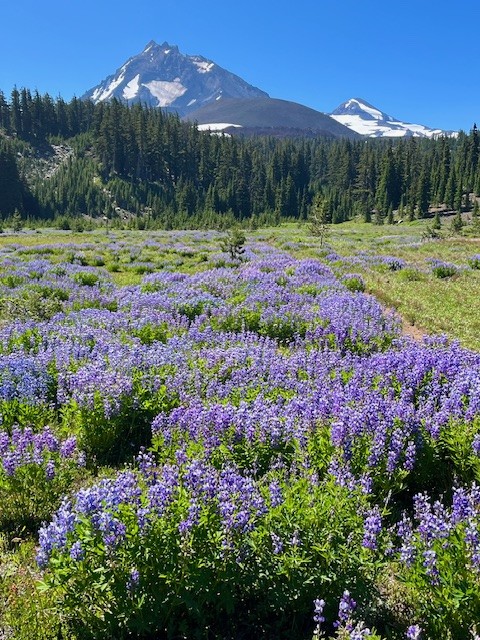 Collier Glacier
